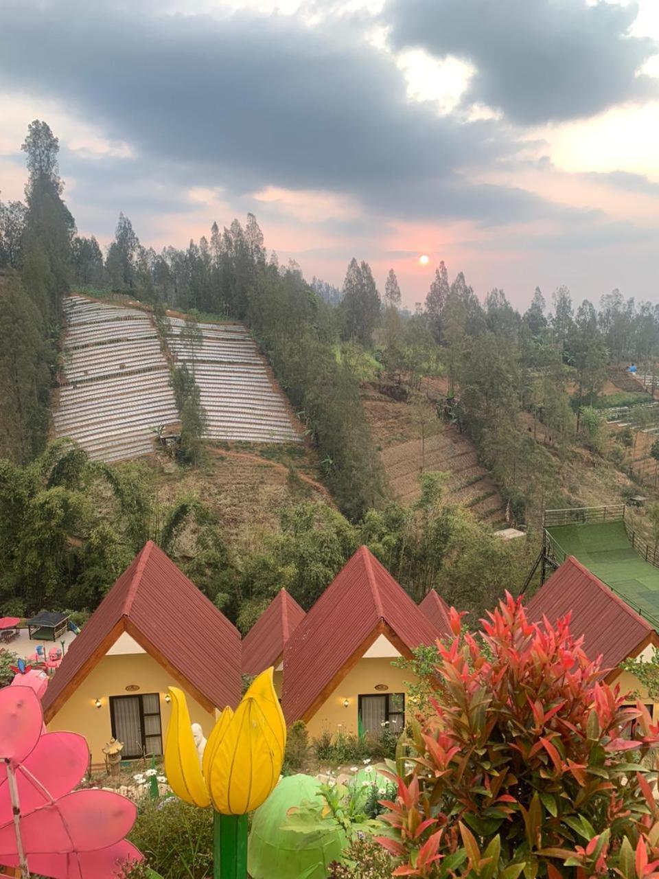Hotel Nature Bromo And Resort Pasuruan Exteriér fotografie